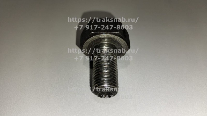 Болт распредвала — 4