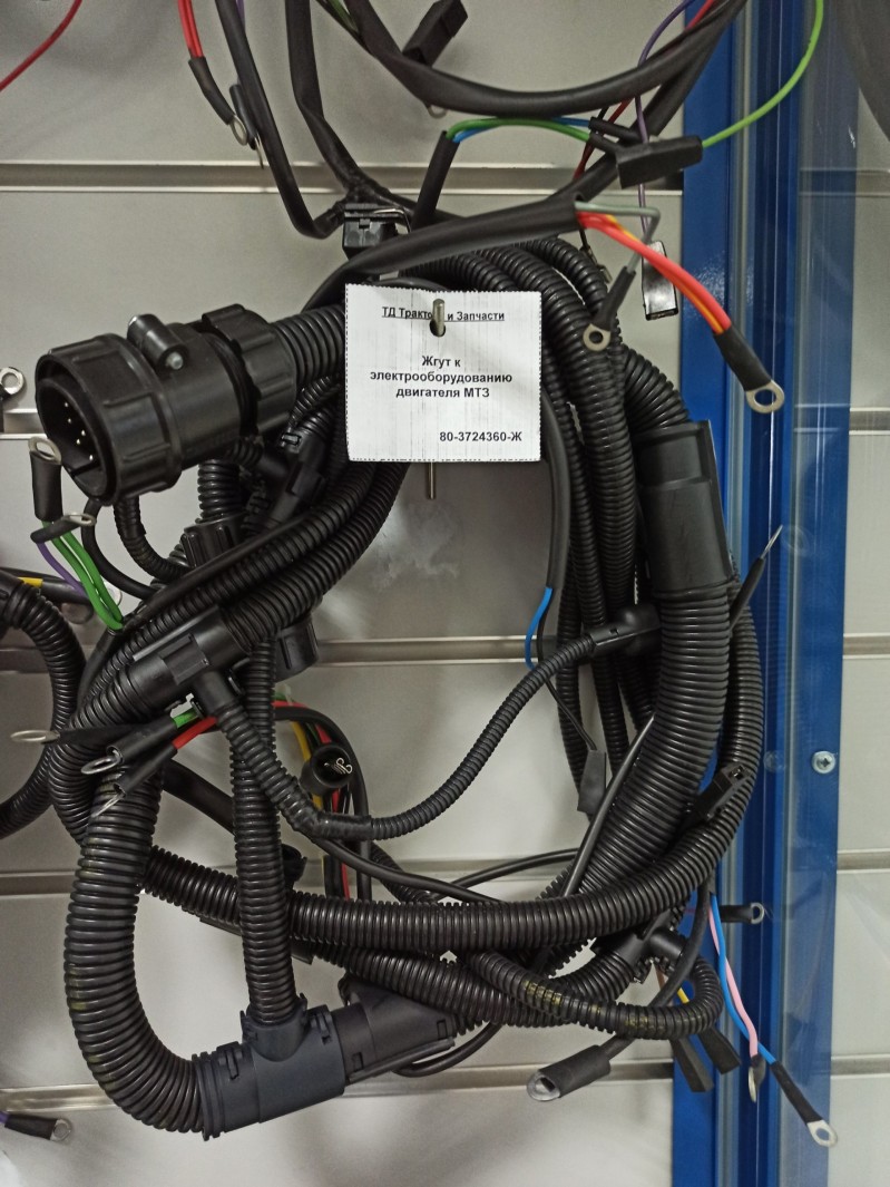 Жгут к электрооборудованию двигателя МТЗ — 3
