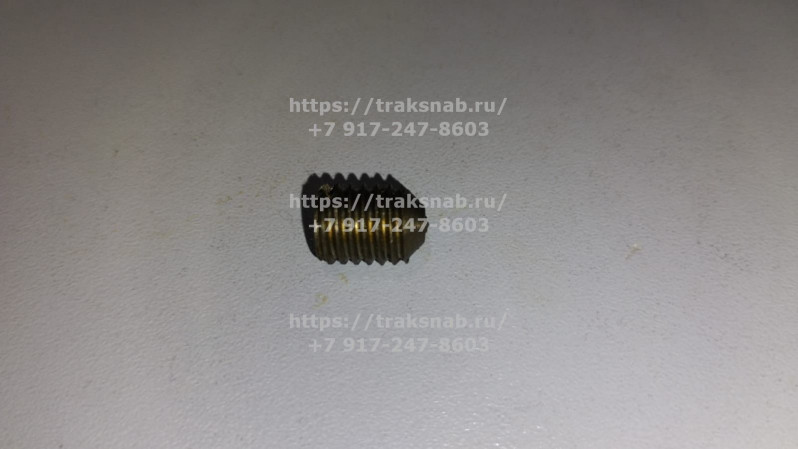 Винт РУП — 2