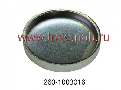 Заглушка головки блока Д-260
