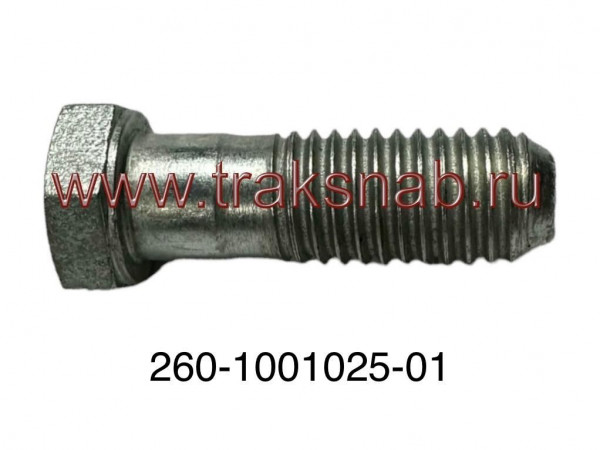 Болт крепления двигателя — 2